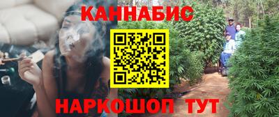 spice Кинель