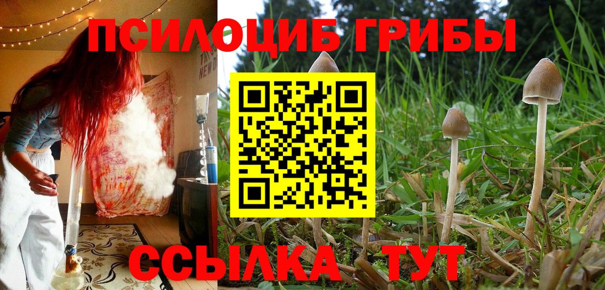 Псилоцибиновые грибы Magic Shrooms Лабытнанги