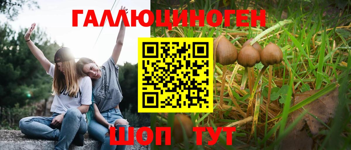Галлюциногенные грибы MAGIC MUSHROOMS  Вход с VPN  Лабытнанги 